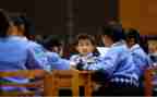 学习感悟心得优质5篇