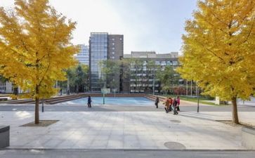 学校月安全工作计划优质5篇