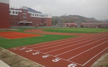 学校副校长个人总结5篇