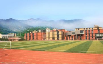 学校教研活动方案6篇