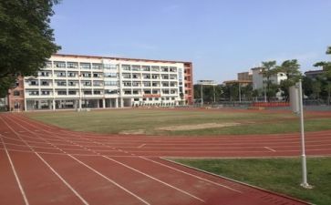 学校食堂述职报告范文8篇