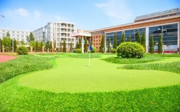 学校培训总结心得体会6篇