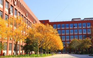 关于学校的作文最新5篇