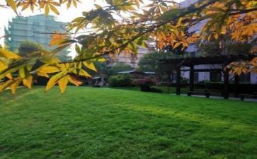 高等学校毕业生自我总结6篇