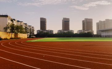 年度学校体育工作报告5篇