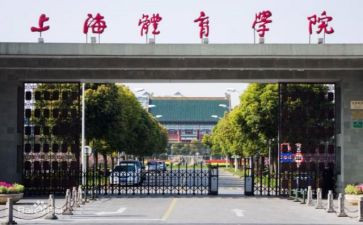 2024年学院就业工作总结6篇