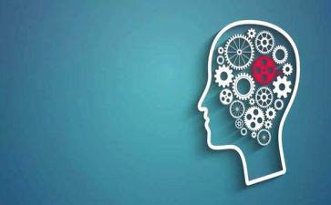 法学专业的调查报告5篇