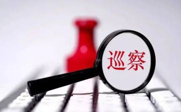 巡察员工作总结8篇