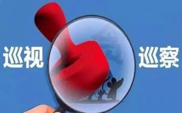 巡察组长述职述职述廉报告5篇
