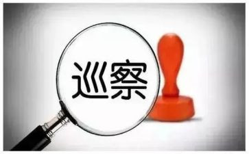 巡察个人述职报告8篇