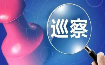 巡察员工作总结7篇