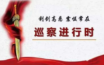 巡察员工作总结优质6篇