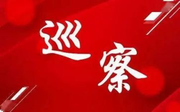 巡察组长述职述廉报告6篇