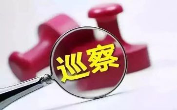 巡察工作个人总结8篇