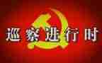 镇巡察工作总结5篇