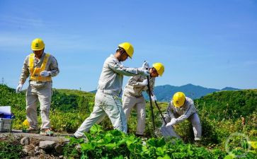 巡检的年终总结6篇
