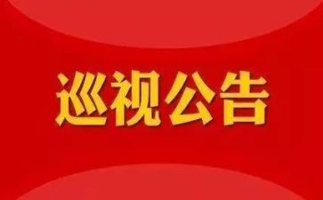 巡视工作报告7篇