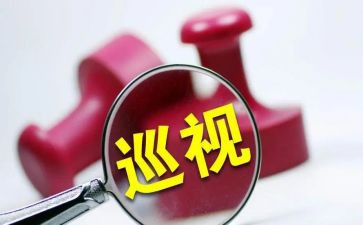 局巡视工作报告6篇
