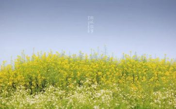 作文叙事500字最新5篇
