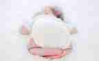 蛋宝宝小班数学教案8篇