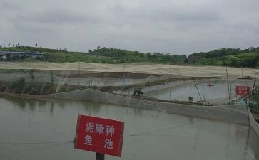 2024养殖场工作总结6篇