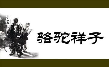 春天的样子作文5篇