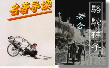 家的样子作文500字6篇