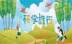 学生研学旅行心得体会7篇