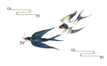 小燕子吉吉读后感5篇