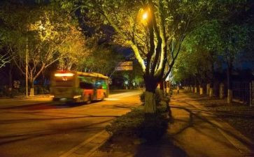 夜经济调研报告6篇