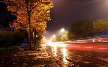 夜写景作文7篇