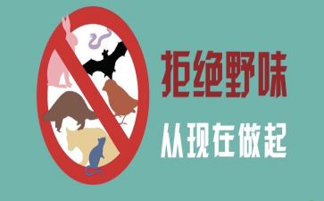 敬畏自然,拒绝野味作文8篇