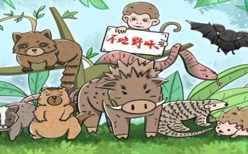 敬畏自然拒绝野味演讲稿5篇