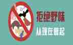 敬畏自然,拒绝野味作文8篇