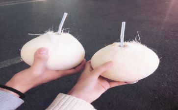 椰子鸡作文5篇