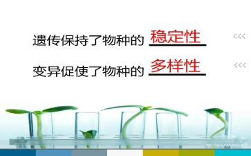 生物的遗传与变异教案7篇