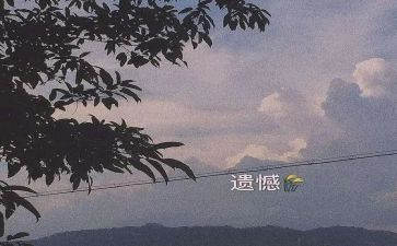 遗憾的作文800字6篇