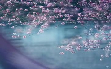 企业一季度工作总结8篇