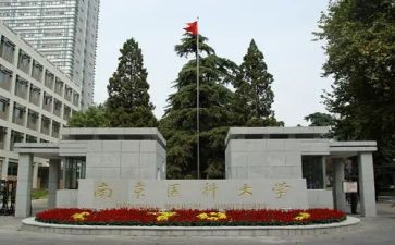 中医科2024年工作总结8篇