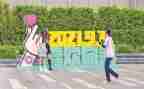 迎新春写春联活动方案5篇