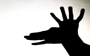 科学课有趣的影子教案5篇