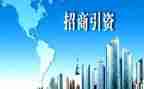 局招商引资工作总结5篇