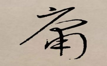 大学中庸心得体会8篇