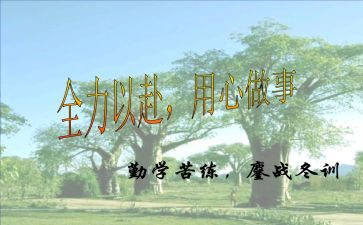 用心去工作读后感6篇
