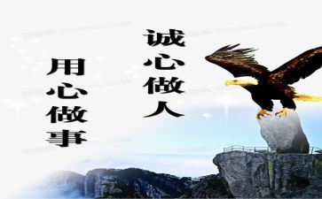 多媒体应用心得体会6篇