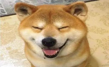 有趣的事四年级作文300字8篇