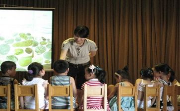 2024到2024幼师个人总结8篇