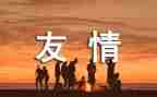 写友谊的演讲稿模板6篇