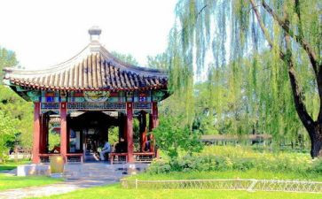 学校游园活动方案5篇