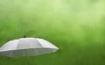 雨后教学反思8篇